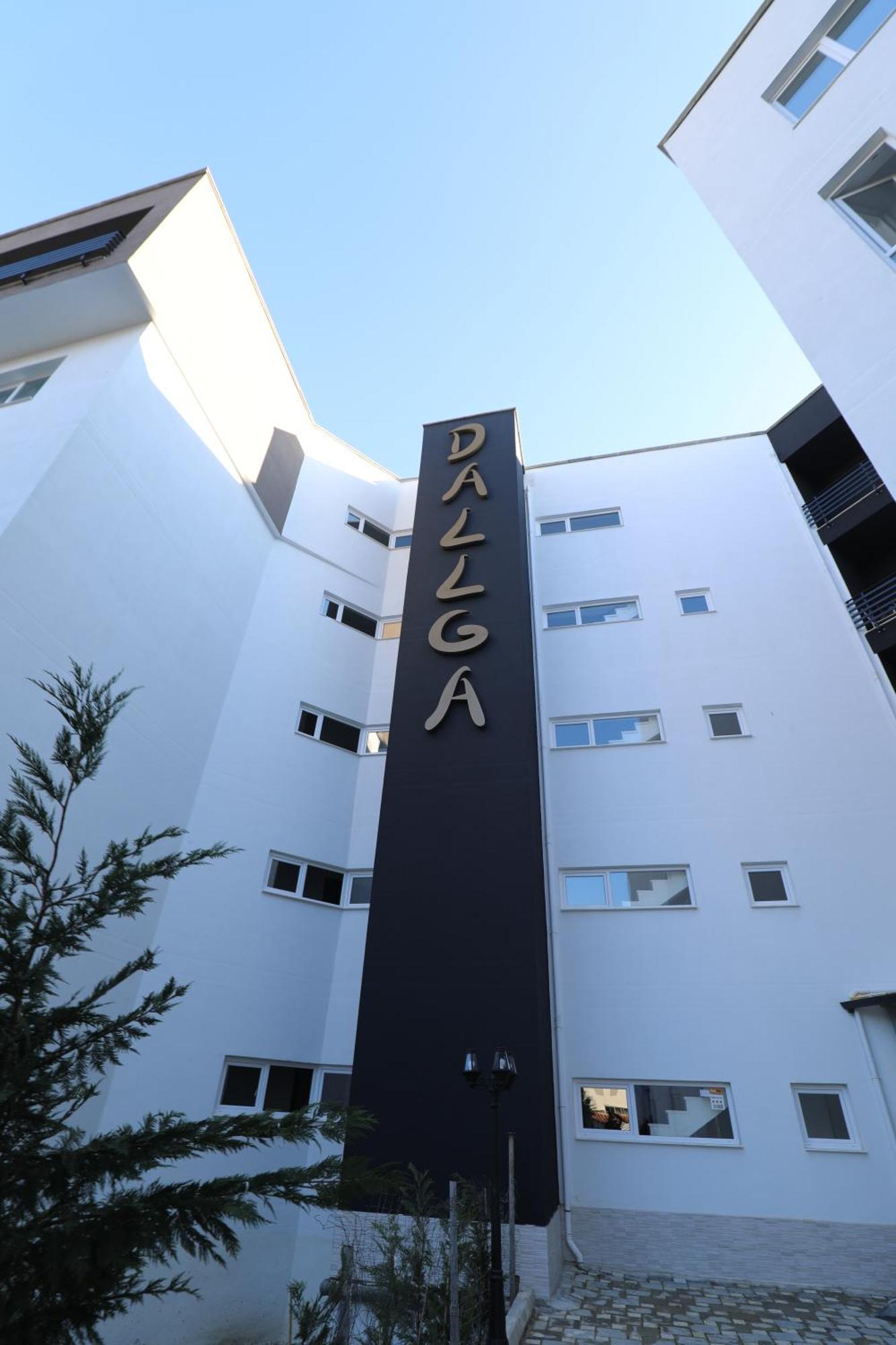 Dallga Tushemisht